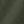 Armygreen