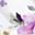 Pink Purple
