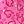 Pink Hearts