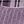 Purple Black
