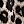 Leopard Pattern