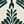 White Green