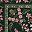 Dark Green C