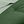Dark Green Light Green