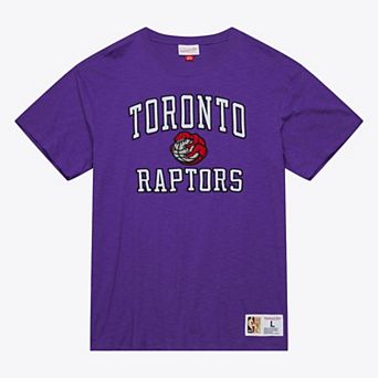 Men's Mitchell & Ness Purple Toronto Raptors Hardwood Classics Legendary Slub T-Shirt