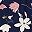 Navy Blue Flower