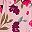 Pink Flower