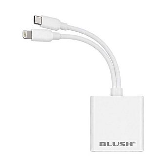 BlushCam Mobile SD Card Reader