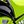 Avocado Green