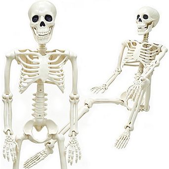 Fieldview 1 Pack 3FT Life Size Skeleton Halloween Decoration Posable Joints Indoor Outdoor