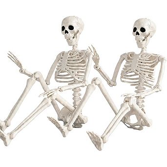 Fieldview 2 Pack 36 Inch Halloween Skeleton Decorations Full Body Human Bones with Movable Joints