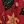 Red Green White