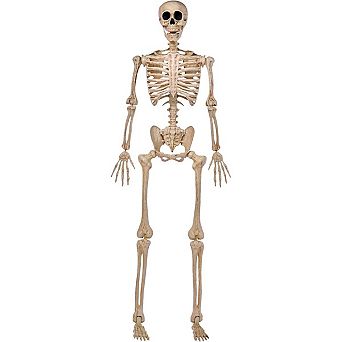 Fieldview 5 FT Life Size Posable Skeleton Full Body Movable Joints Halloween Decoration for Indoor