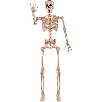 Fieldview 5.6 FT Posable Life Size Skeleton Full Body Realistic Bones Movable Joints Halloween