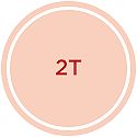 2T
