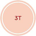 3T