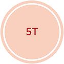 5T