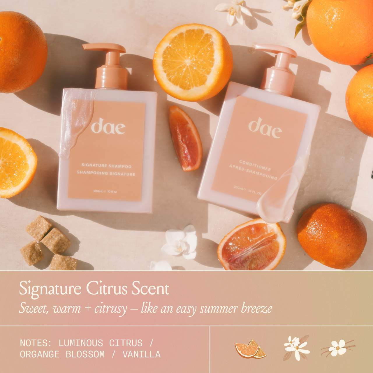 dae Tressed to Chill Hair Essentials Trio Value Set