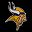 Minnesota Vikings