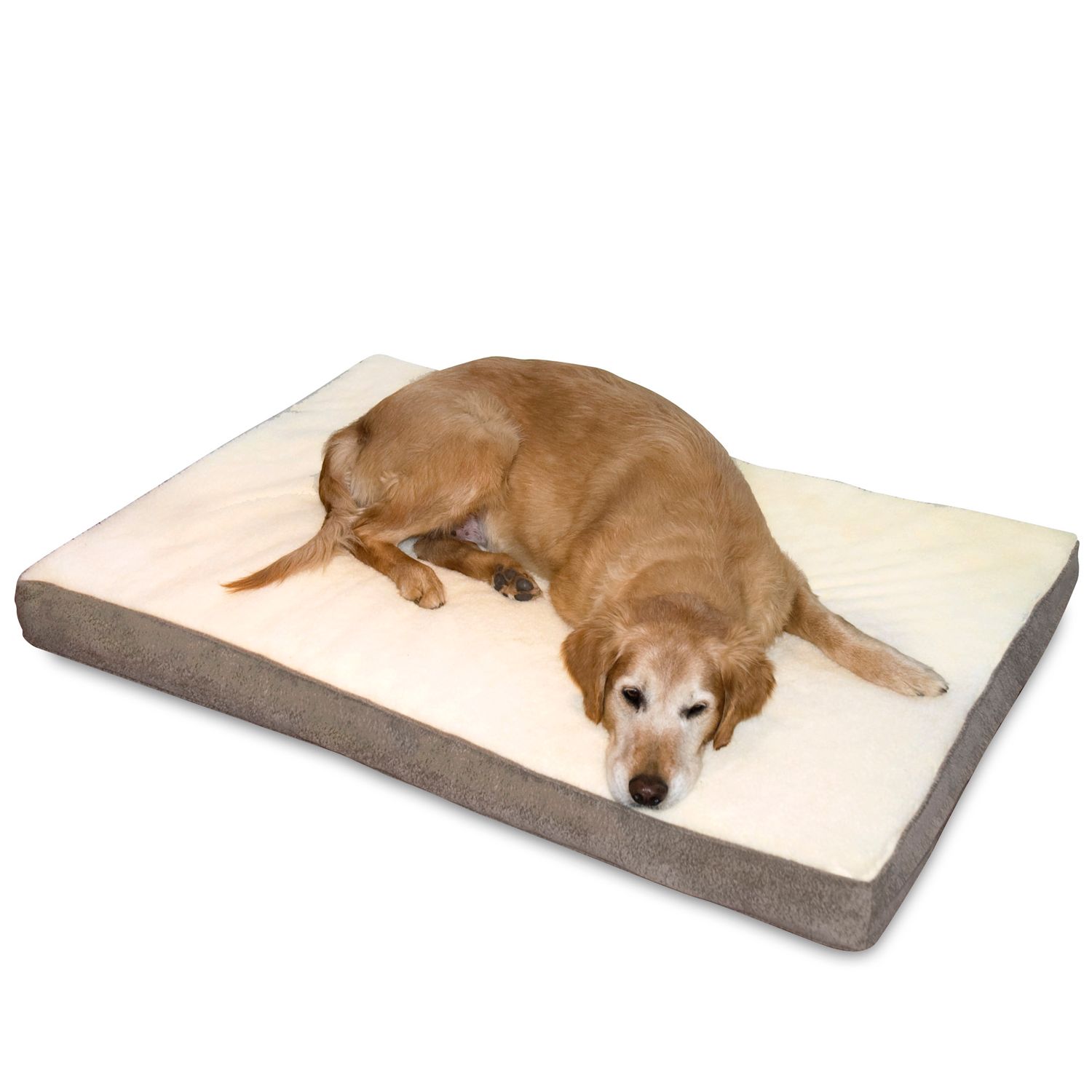 orthopedic dog beds on sale