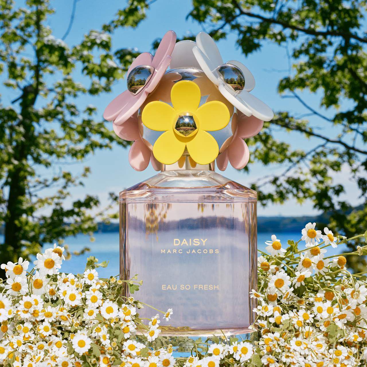 香水(女性用) MARC JACOBS DAISY Eau So Fresh 75ml Warners Daisy Eau So Fresh Eau de Toilette with Raspberry & Musk
