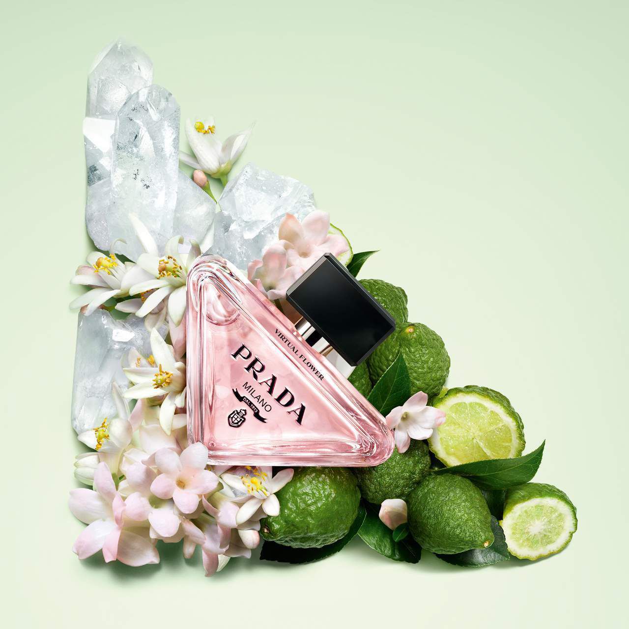 PRADA PARADOXE VIRTUALFLOWER プラダ30ml Amazon.com : Prada Paradoxe Virtual Flower Eau De Parfum Spray for