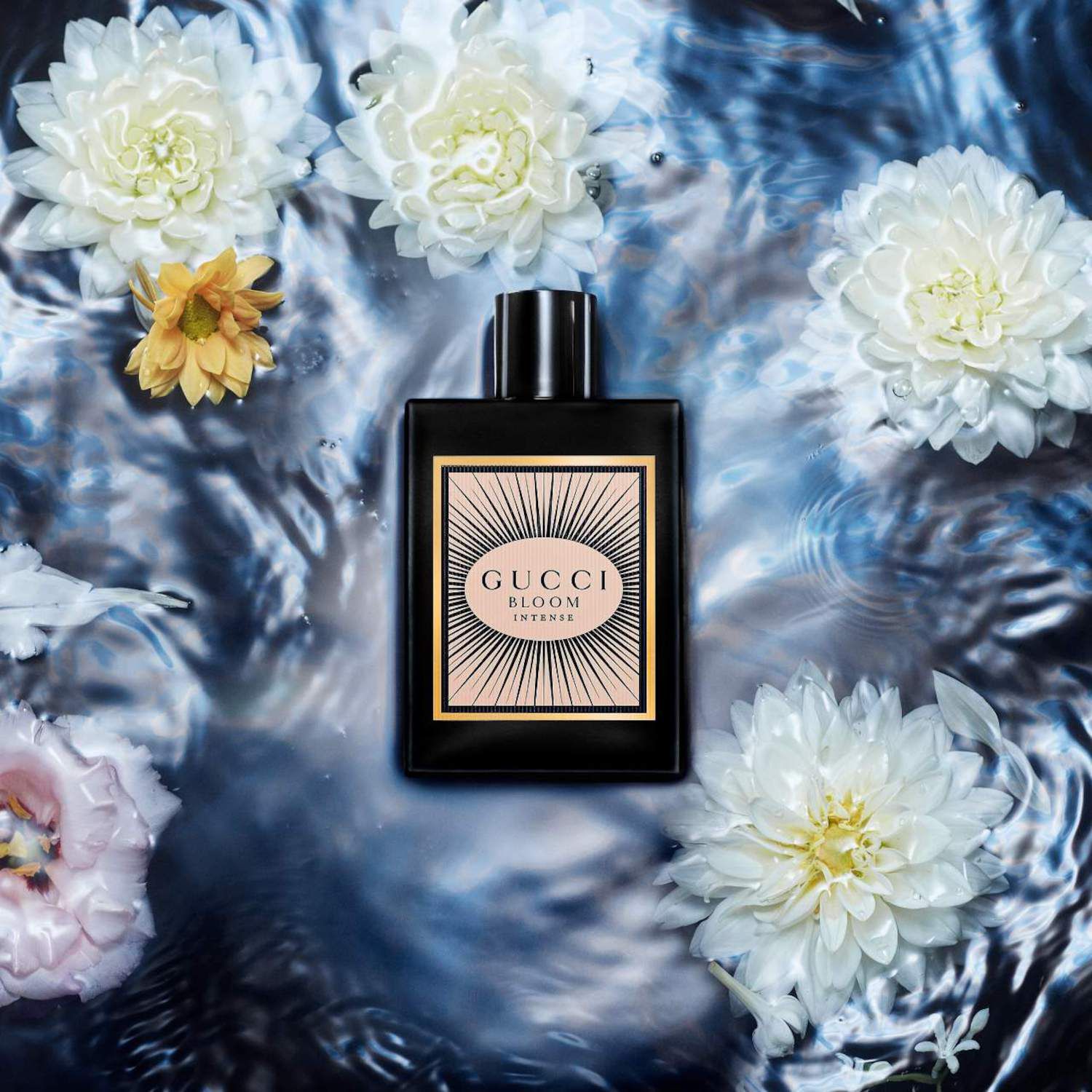 Gucci bloom perfume at kohl's deals