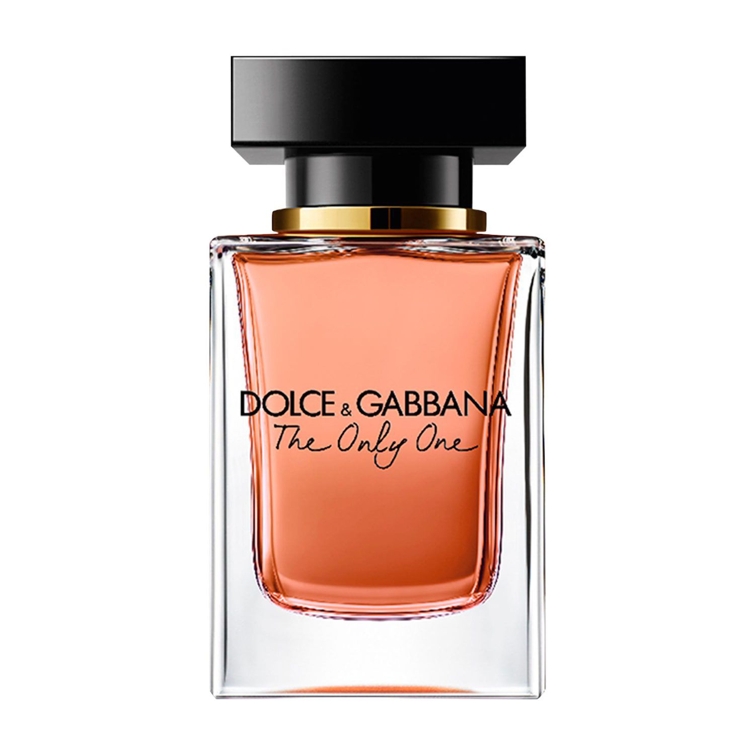 Dolce and gabbana the one kohls online