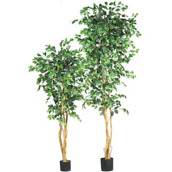 <strong>nearly natural Silk Ficus Trees</strong>