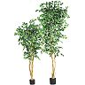nearly natural Silk Ficus Trees