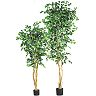 nearly natural Silk Ficus Trees