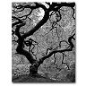 ''Japanese Tree II'' Canvas Wall Art