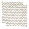 Chevron Tealea 2-piece Throw Pillow Set