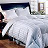Royal Majesty Damask Stripe 500-Thread Count Siberian Down Comforter