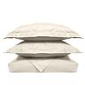 Solid 500-Thread Count Egyptian Cotton Sateen Duvet Cover Set