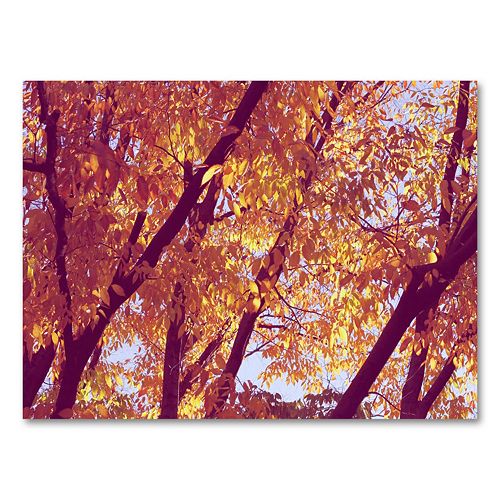 Trees Canvas Wall Art by Ariane Moshayedi