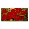 ''Poppies'' Canvas Wall Art by Rio