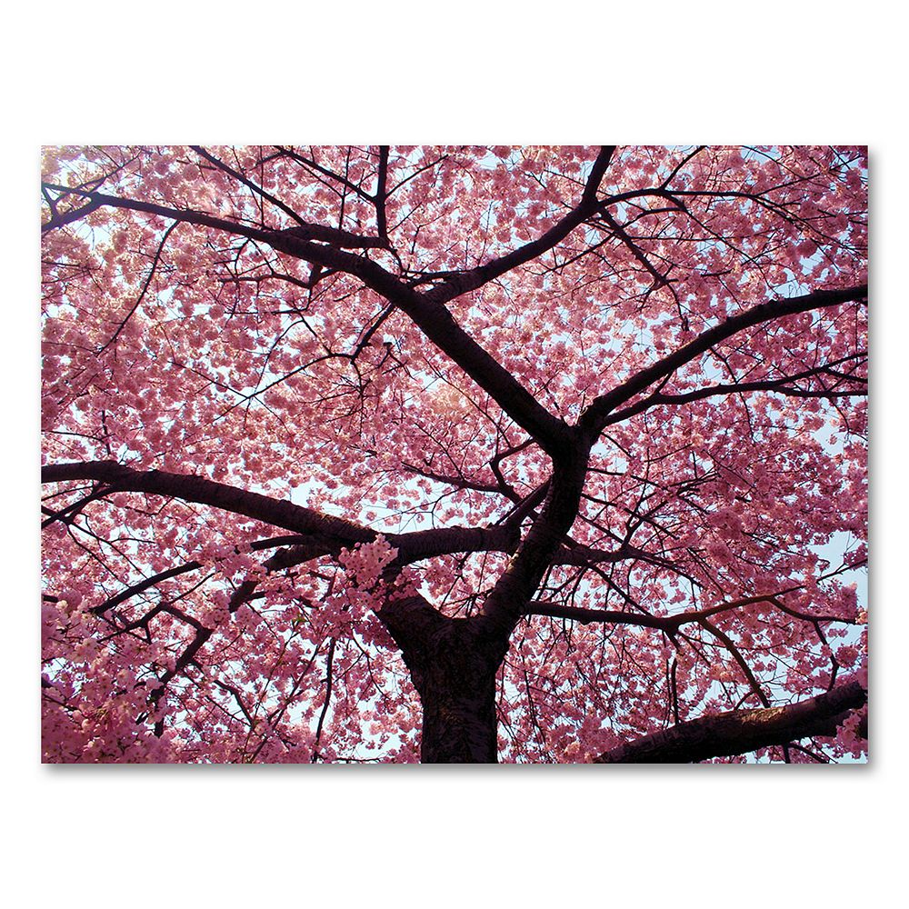 "Cherry Tree" Canvas Wall Art by CATeyes