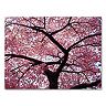 "Cherry Tree Canvas Wall Art by CATeyes