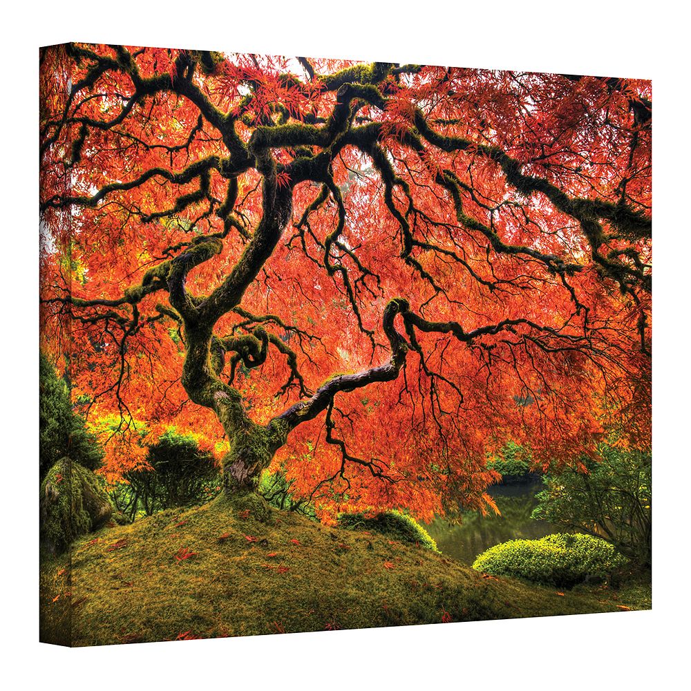 ''Japanese Tree'' Canvas Wall Art by John Black