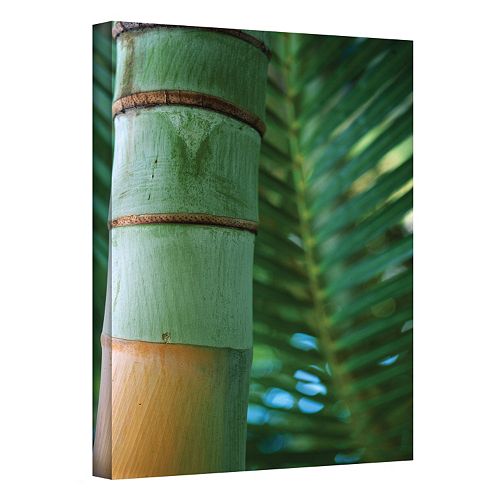 ''Bamboo & Fern'' Canvas Wall Art by Kathy Yates