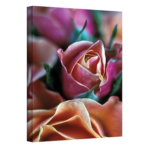 ''Mauve and Peach Roses'' Canvas Wall Art by Kathy Yates
