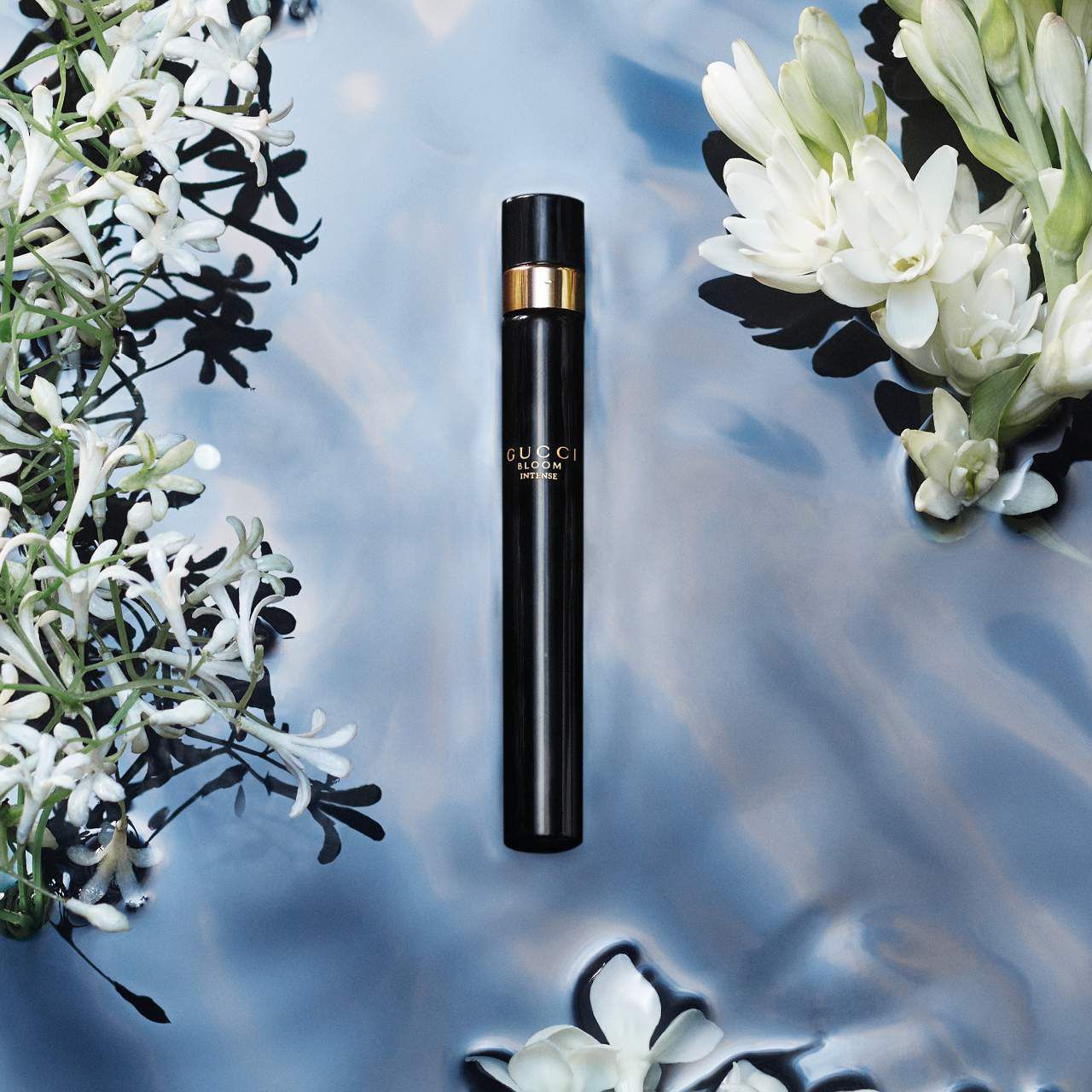 Gucci bloom kohls deals