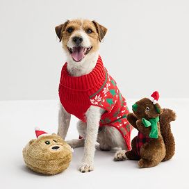 Pet toys and supplies offer