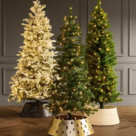 Christmas trees offer