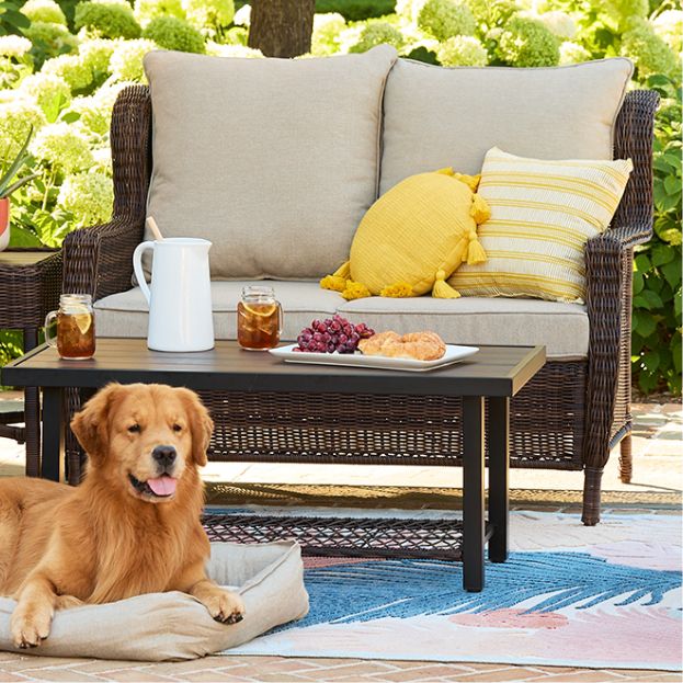 patio furniture with dog on dog bed