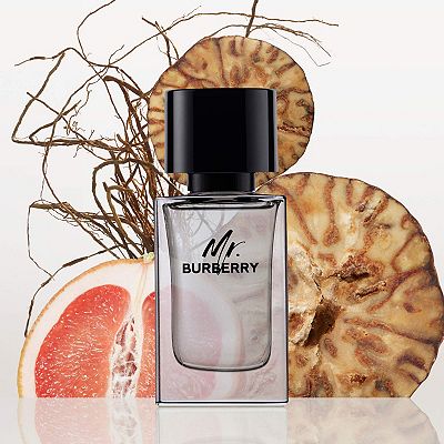 BURBERRY Mr. Burberry Eau de Toilette with Grapefruit and Vetiver