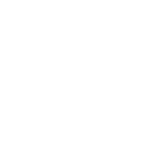 fall collection