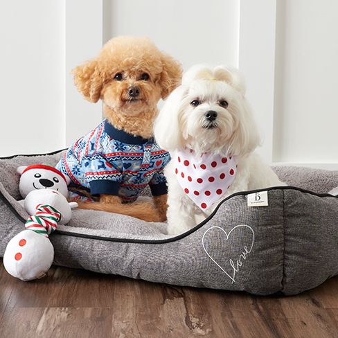 buy fancy feast in bulk